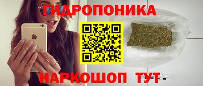 гашик Рязань
