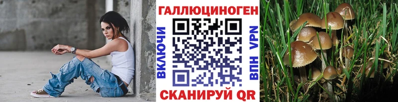 Галлюциногенные грибы GOLDEN TEACHER  где купить наркоту  Павлово 