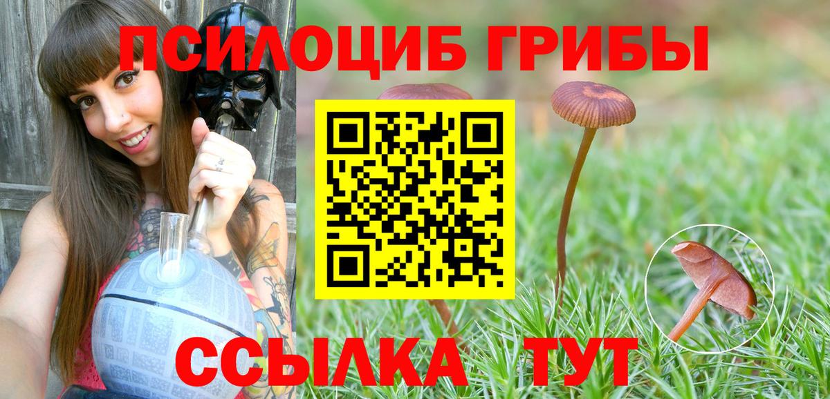 Псилоцибиновые грибы MAGIC MUSHROOMS  Псилоцибиновые грибы ЛСД  Павлово  Вход с VPN 