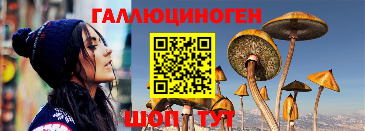 Псилоцибиновые грибы прущие грибы Павлово